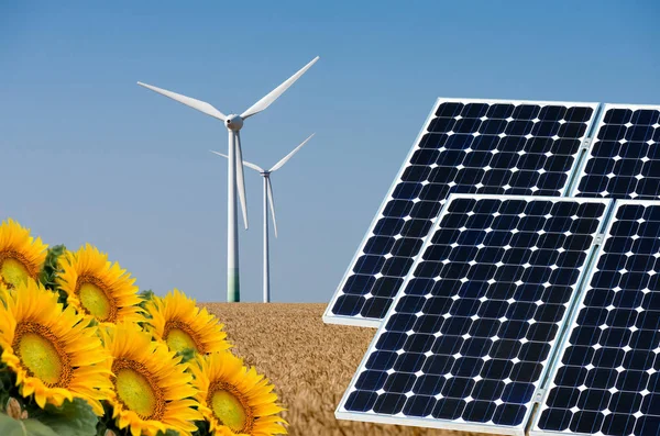 Photo collage of solar panels and wind turbin against the crops background - concept of sustainable resources