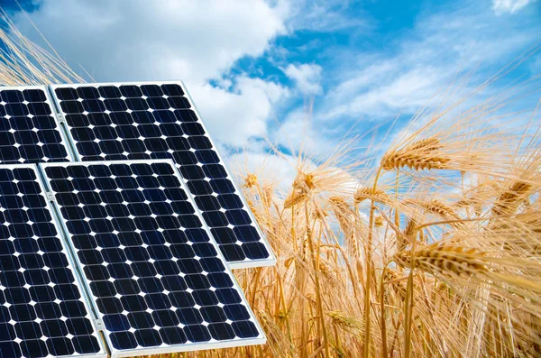 Fotocollage van zonnepanelen tegen de achtergrond van de gewassen - concept van duurzame middelen — Stockfoto