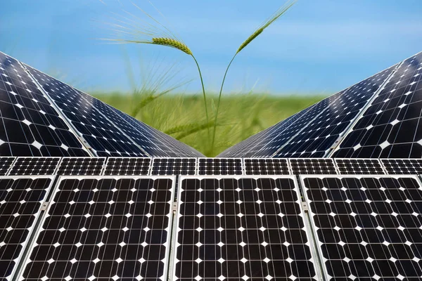 Photo collage of solar panels against the crops background - concept of sustainable resources