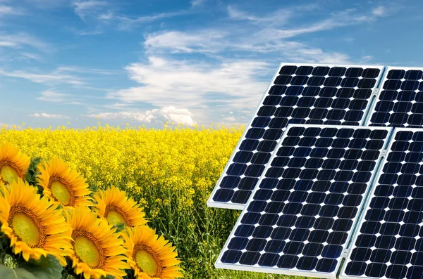 Photo collage of solar panels against the crops background - concept of sustainable resources — Stock Photo, Image