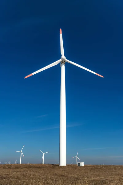 Вітрові турбіни проти блакитного неба, що генерує електрику — стокове фото