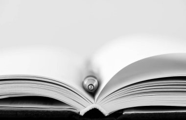 İzole - kalem seçici odak, kopya alanı ile açılan not defteri