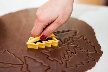 El yapımı Noel Gingerbread çerezleri çocuk ve kadın