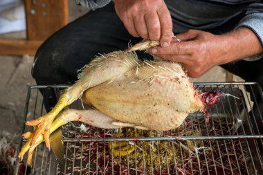 Çiftçi temizler ve kesilmiş tavuk yemek için hazırlar