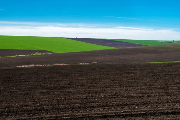 Idyllic Village view of pretty farmland in the spring - focus on foreground — Stok Foto