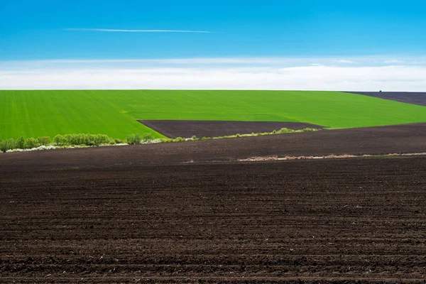 Idylliska landsbygden Visa ganska jordbruksmark under våren - fokus på förgrunden — Stockfoto