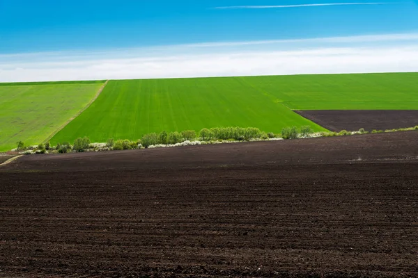 Idylický obraz venkova pěkné zemědělské půdy na jaře - zaměření na popředí — Stock fotografie