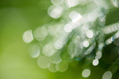 Yeşil ve sarı tonlarda güneş ışığı ile doğal bokeh arka plan