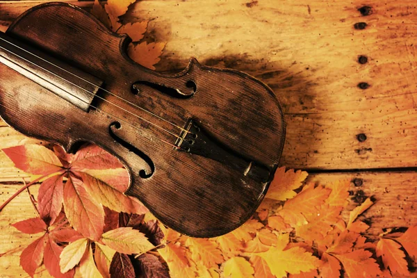 Παλιά βιολί και το φθινόπωρο τα φύλλα πάνω από ένα παλιό τραπέζι ρουστίκ ξύλινα — Φωτογραφία Αρχείου