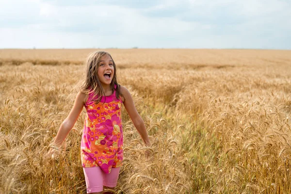 Happy little girl in a field of ripe wheat — Stock Photo, Image