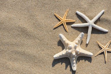 Summer vacation concept starfish on sandy tropical beach - selec