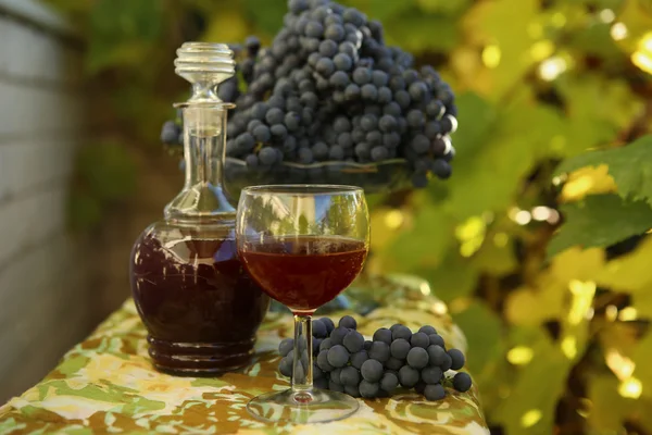 Ev yapımı şarap üzümden — Stok fotoğraf