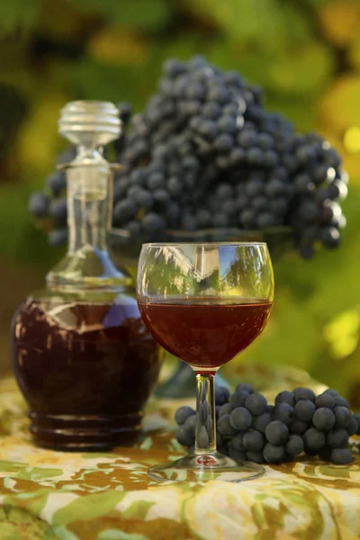 Homemade wine from grapes. — Stock Photo, Image