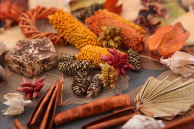 Kurutulmuş çiçekçi malzemeleri. 