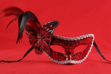 Karnaval maskesi kelebek ve tüyleri ile. 