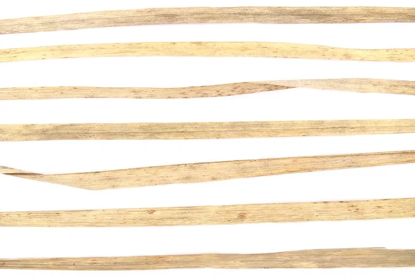 Elementos de grama seca para design gráfico isolado em fundo branco . — Fotografia de Stock