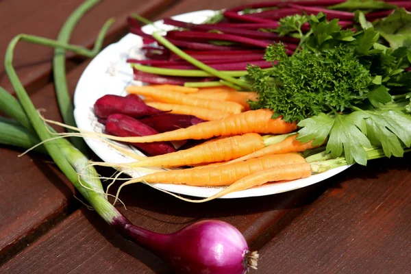 Sayuran: wortel, bit, peterseli, bawang — Stok Foto