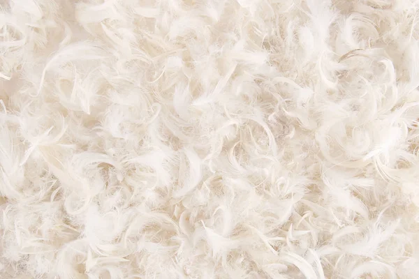 soyut tüyler arka plan.