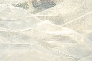 Tüyler ve beyaz tül kumaş arka plan. 