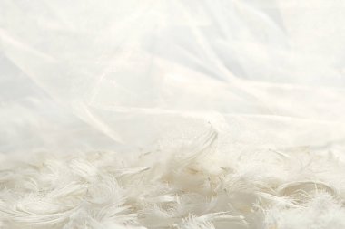 Tüyler ve beyaz tül kumaş arka plan. 