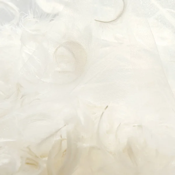 Pióra i biały Tiul tkanina tło. — Zdjęcie stockowe