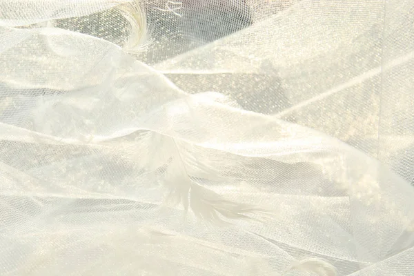 Tüyler ve beyaz tül kumaş arka plan. 