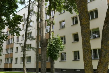 Begonya tuberhybrida pendula sepet asılı içinde. 