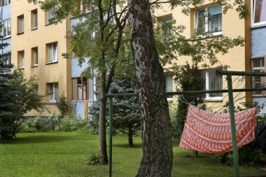 Begonya tuberhybrida pendula sepet asılı içinde. 