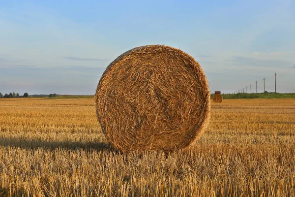 Um fardo de palha no campo . — Fotografia de Stock