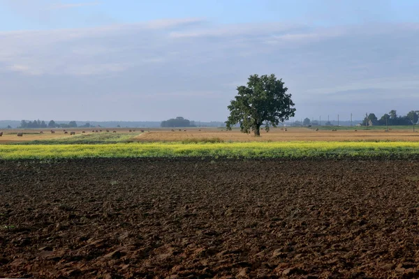 Tarım arazisi, ekilebilir ekin tarlası. 