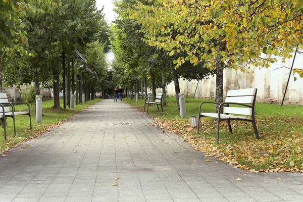Stromová alej s lavičkami počátkem podzimu. — Stock fotografie