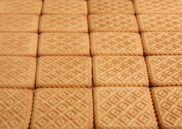 Scuare Cookies Achtergrond Biscuit Textuur Achtergrond — Stockfoto