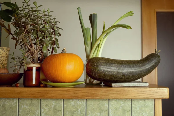 Pumpkin and zucchini as decoration in kitchen. Vegetables (leeks, pumpkin, zucchini) and Jade plant on bar or shelf.