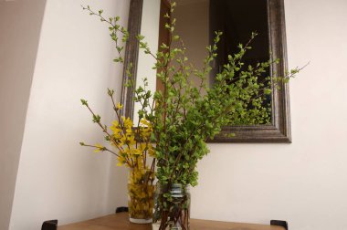 Yeşil ağaç dalları ve hor çiçeği dalları giriş yoluna sarı çiçeklerle. Bahar dalları cam kavanozlara demetleri.