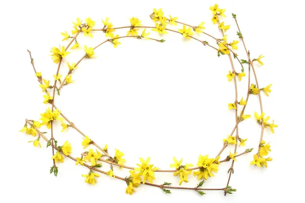 Ram Forsythia Grenar Med Gula Blommor Isolerad Vit Bakgrund Våren — Stockfoto