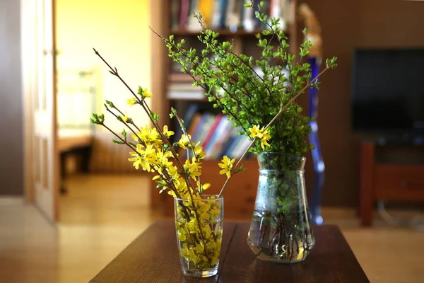 Green Tree Branches Forsythia Branches Yellow Flowers Interior Bouquets Spring — Stock Photo, Image