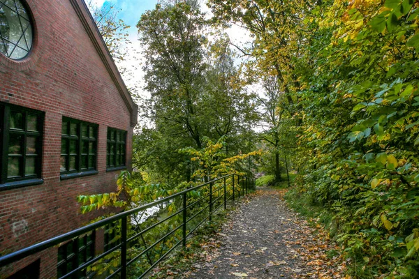 Sentier Pédestre Long Rivière Oslo Automne Sentier Automne Nydalen Oslo — Photo