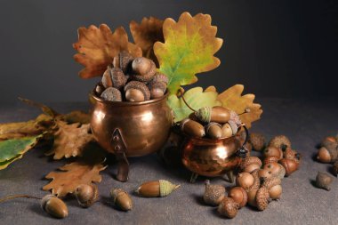 Meşe palamudu ve yapraklar içeride. Bakır kapta sonbahar meşe palamutları