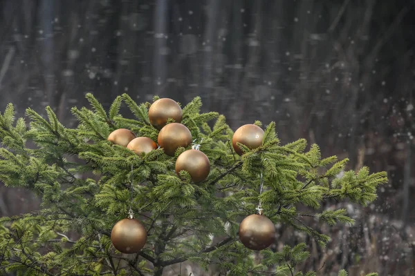 Bolas Natal Douradas Abeto Fundo Nevado Decorado Árvore Natal Livre — Fotografia de Stock