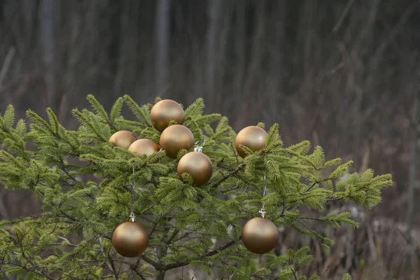 Золоті Різдвяні Кульки Маленькій Ялинці Відкритому Повітрі Декорована Ялинка Лісі — стокове фото