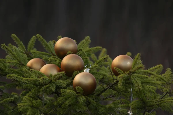 Boules Noël Dorées Sur Branches Sapin Plein Air Arbre Noël — Photo