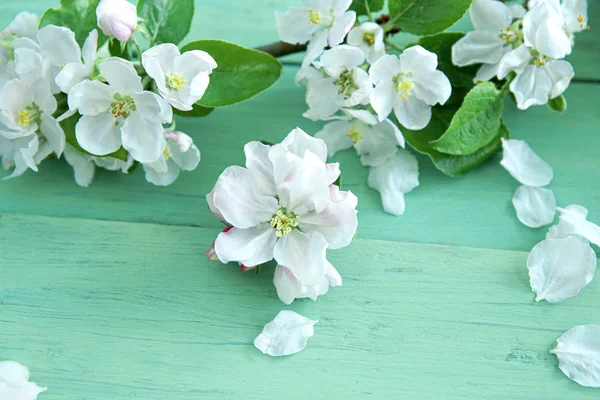 Apple Blossom Green Wooden Background Flowering Apple Tree Branch Close — Stock Photo, Image
