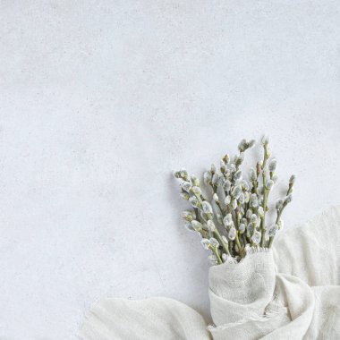 Taş yüzeyinde keten kumaşlı, ortak fındık dallarının erkek kadifelerinin ilkbahar arkaplanı. Kapalı alandaki am dallarını kopyalama alanı ile kes