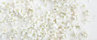 Beyaz elma çiçekleri çiçek açar. Beyaz çiçeklerin güzel bahar deseni, üst manzara