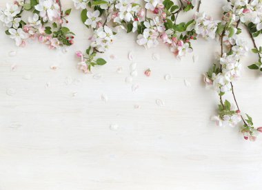 Beyaz ahşap arka planda çiçek açan elma çiçekleri çerçevesi. İlkbahar konsepti elma dalları fotokopi alanı, üst görünüm