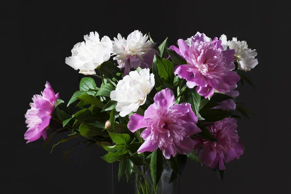 Beyaz ve pembe peonies buket. 