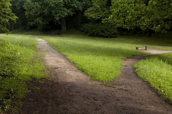 Parkta ikiye bölme iz. 