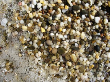 Kıyı, plaj renkli çakıl