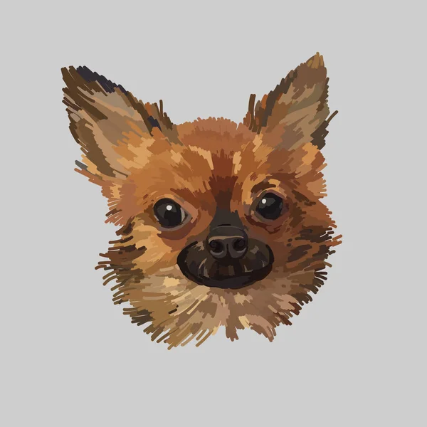 Ilustración vectorial Retrato de cachorro de Chihuahua. Perro aislado — Archivo Imágenes Vectoriales