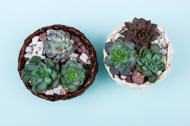 Çiçek hipster desen